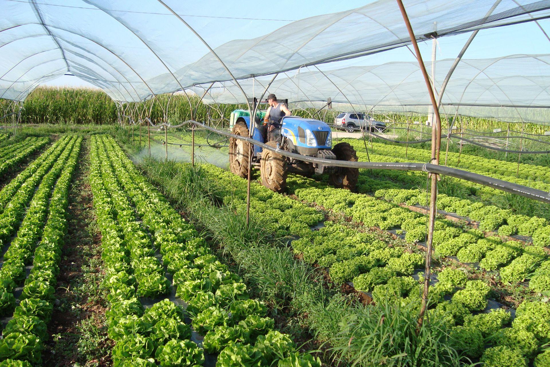 12-Trattamento-con-BioAksxter-orticoltura.jpg 12-Trattamento-con-BioAksxter-orticoltura.jpg