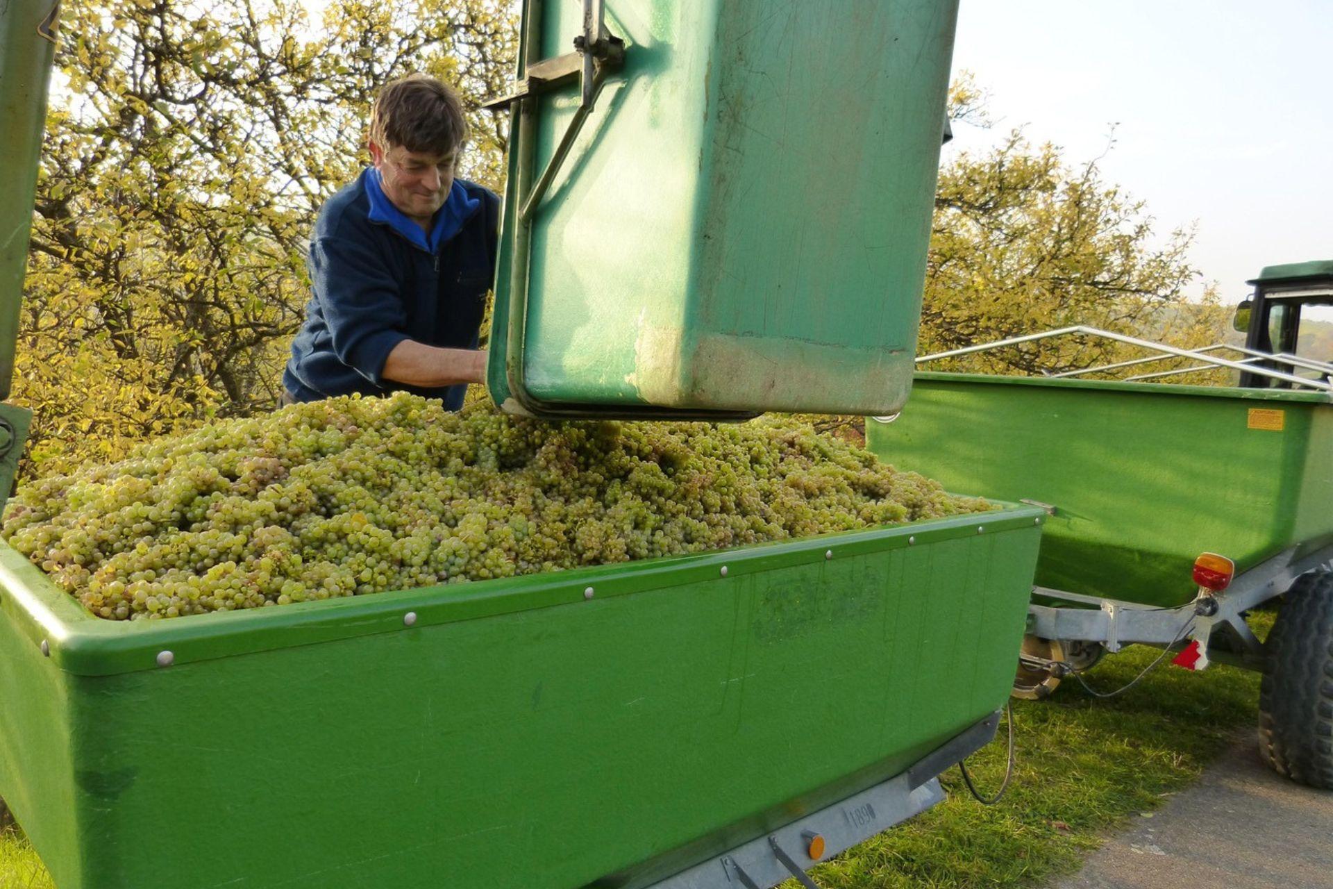ambiente-agricolo-sano-come-base-della-redditivit-delle-aziende-agricole.jpg ambiente-agricolo-sano-come-base-della-redditivit-delle-aziende-agricole.jpg