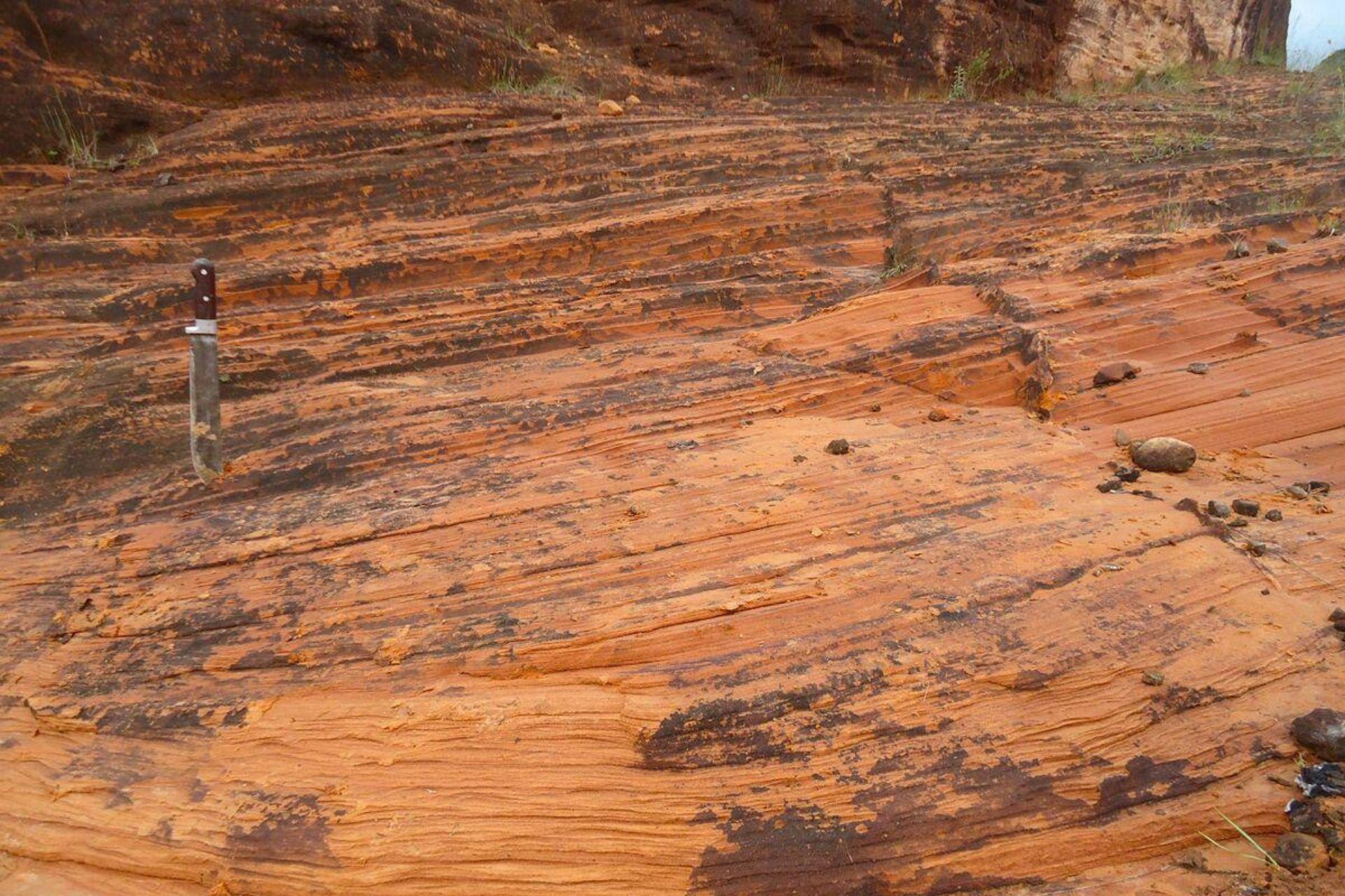 Arenaria-della-Formazione-Botucatu-Brasile-desertificazione-nella-storia-geologica-della-Terra-desertification-in-the-geological-history-of-the-earth.jpg Arenaria-della-Formazione-Botucatu-Brasile-desertificazione-nella-storia-geologica-della-Terra-desertification-in-the-geological-history-of-the-earth.jpg