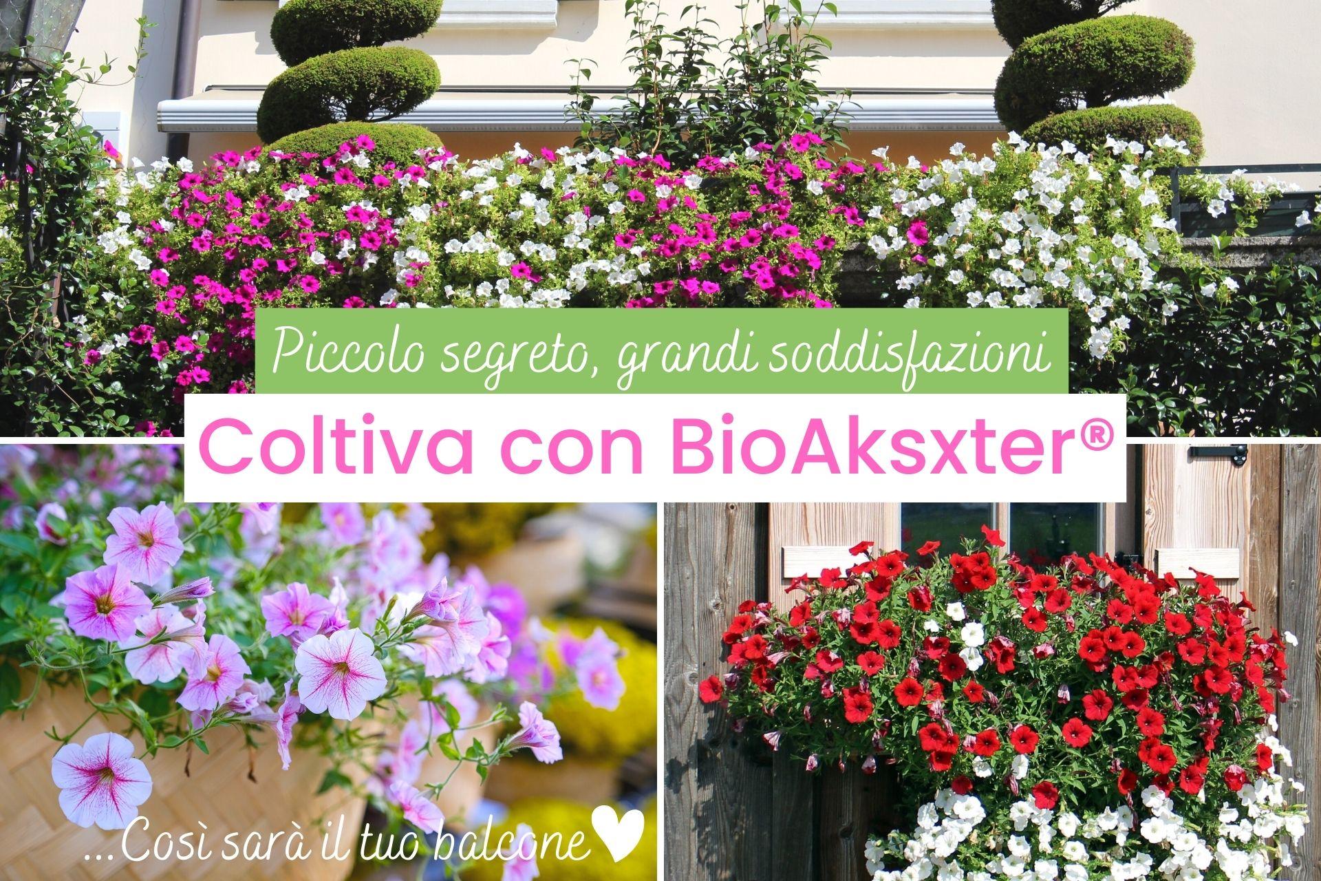 Coltivare-con-BioAksxter-coltivare-soddisfazioni.jpg