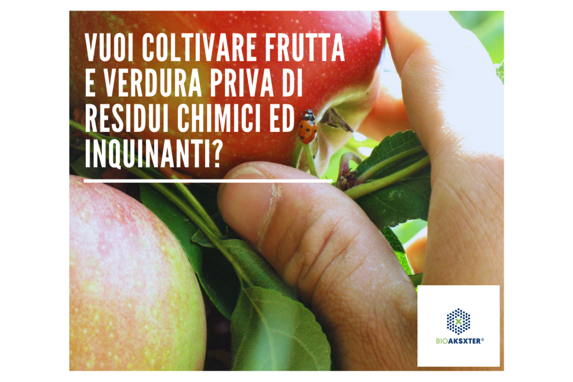 Coltivare-frutta-e-verdura-priva-di-residui-chimici-con-BioAksxter-tecnologia-disinquinante.png