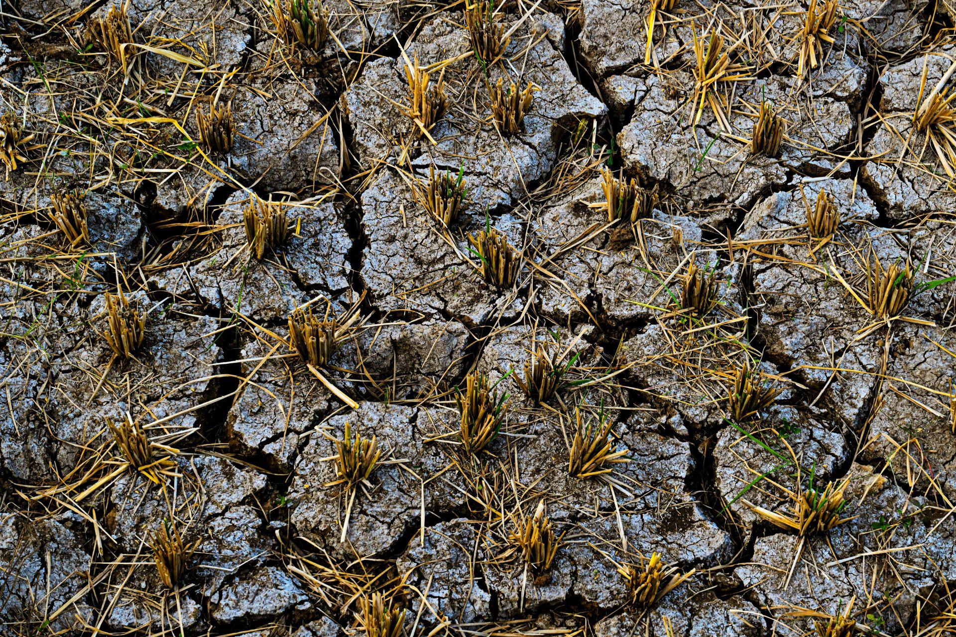 Distinguere-la-desertificazione-del-suolo-da-aridit-siccit-e-degrado-del-terreno-Distinguishing-desertification-from-aridity-drought-and-land-degradation.jpg Distinguere-la-desertificazione-del-suolo-da-aridit-siccit-e-degrado-del-terreno-Distinguishing-desertification-from-aridity-drought-and-land-degradation.jpg