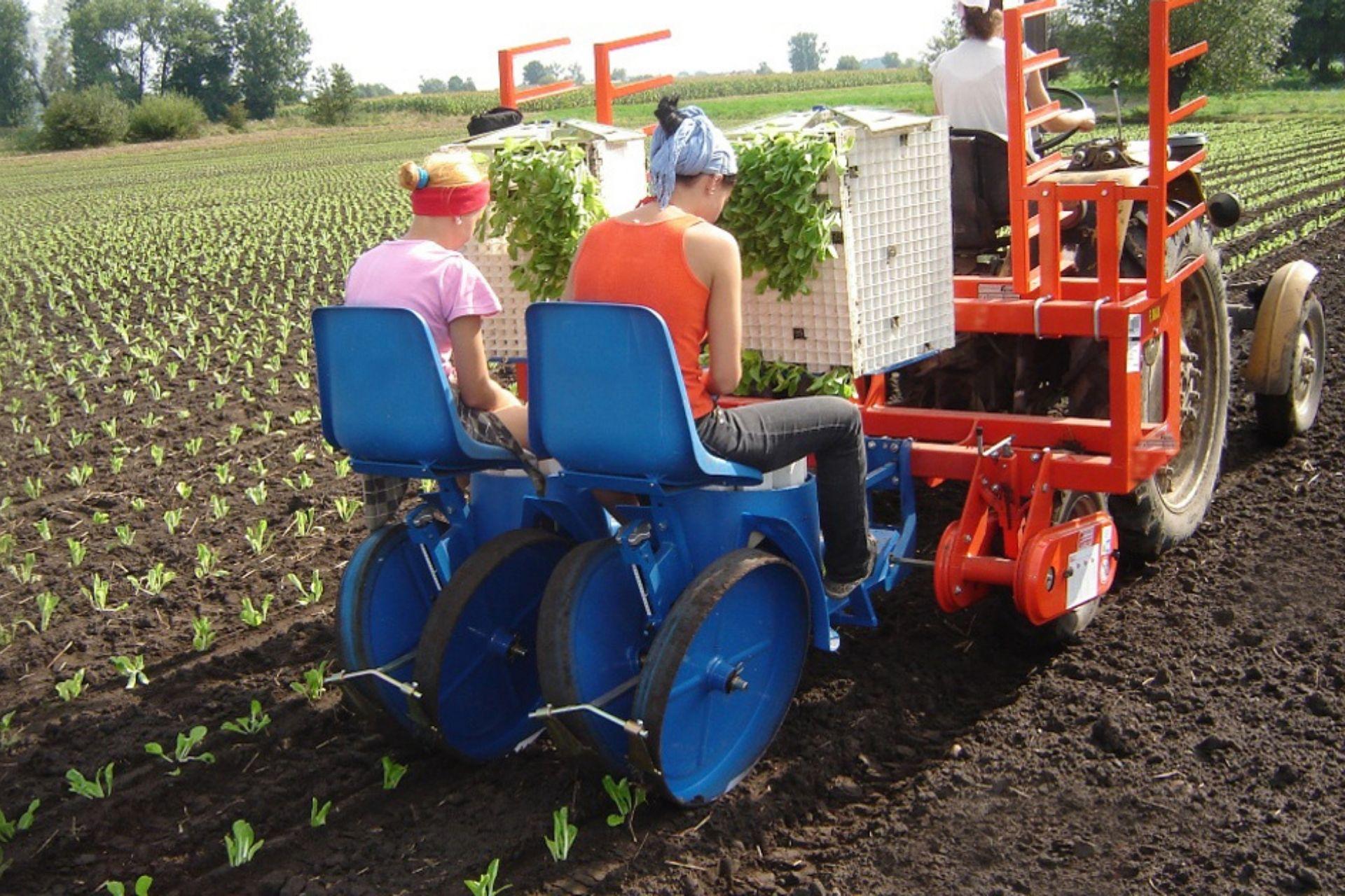 lavorazione-del-terreno.jpg