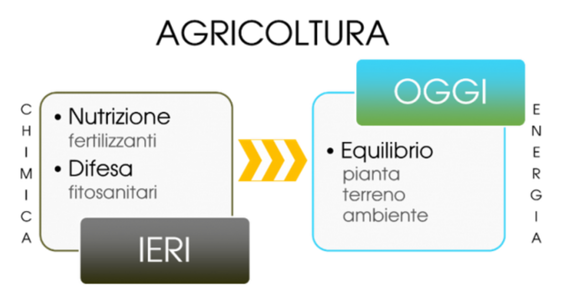 Nutrizione-Difesa-Equilibrio.png