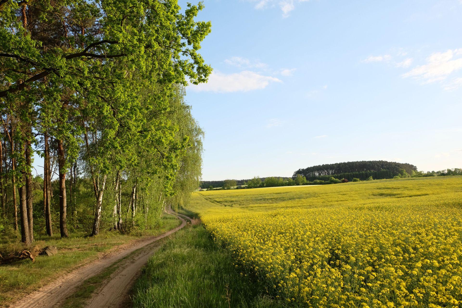 Paesaggio-agricolo-infrastruttura-ecologica-agricultural-landscape-ecological-infrastructure.jpg Paesaggio-agricolo-infrastruttura-ecologica-agricultural-landscape-ecological-infrastructure.jpg