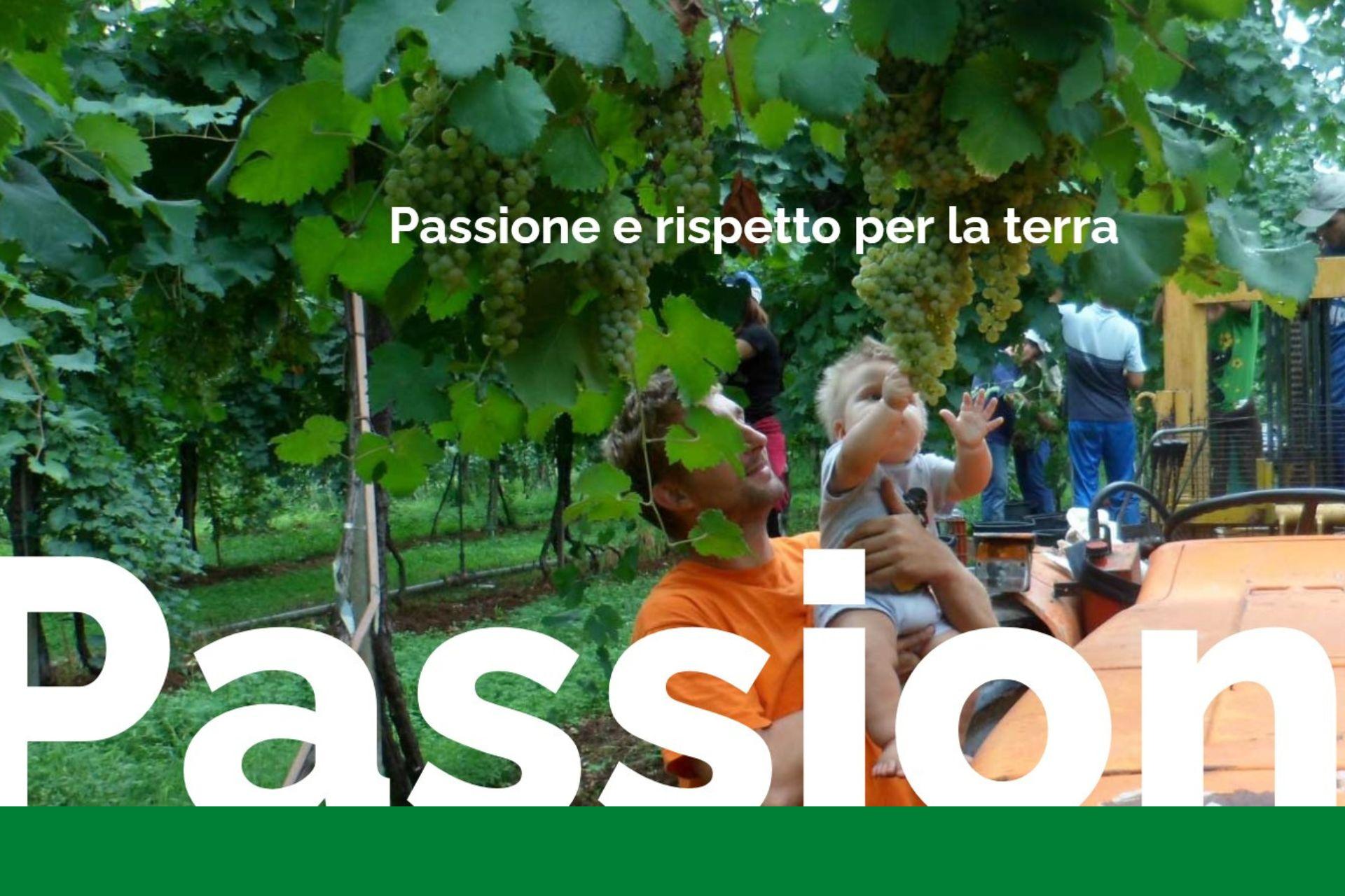 Passione-e-rispetto-per-la-terra-Azienda-Agricola-Michele-Rasera.jpg