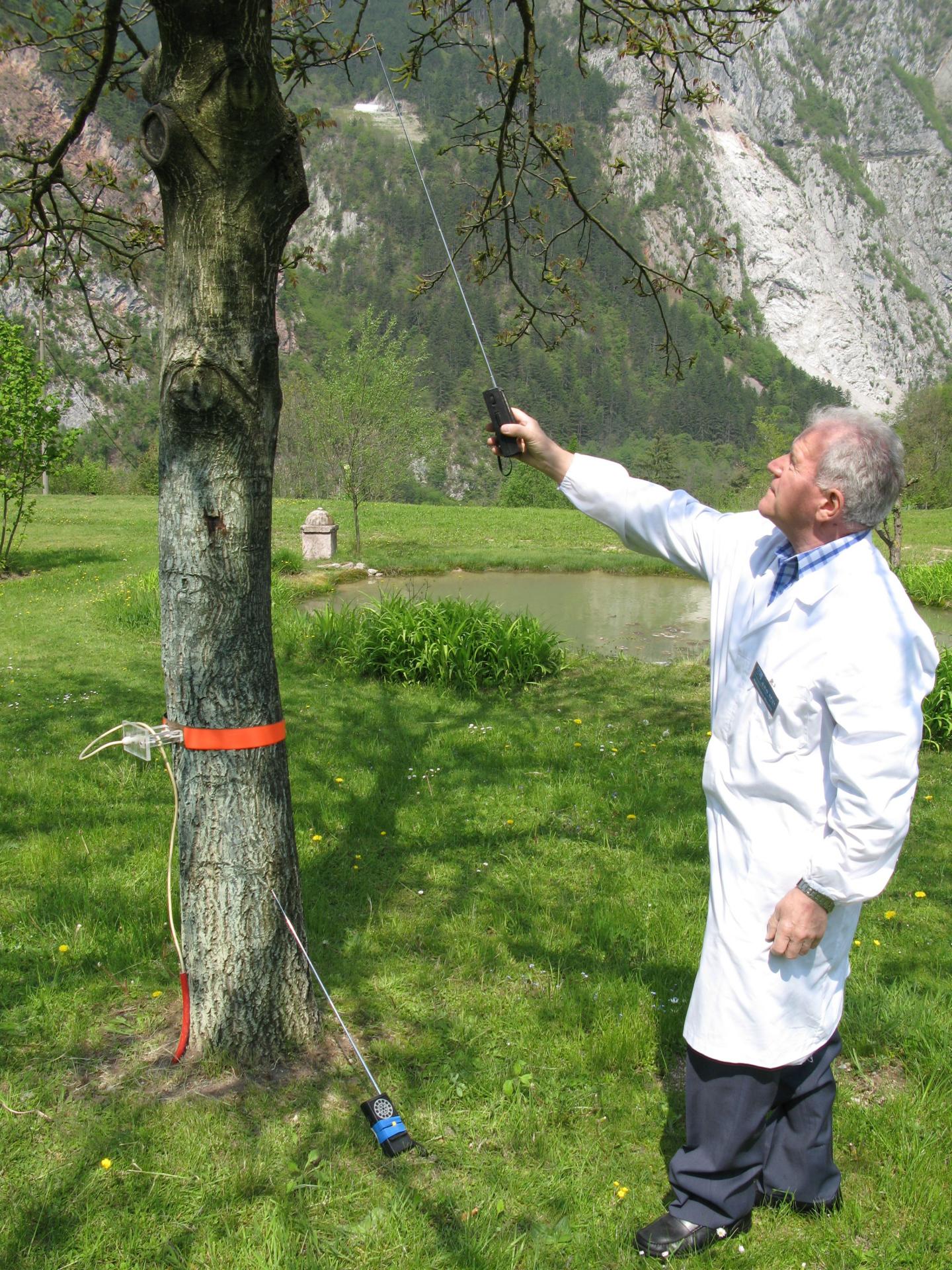 Ricercatore-Alessandro-Mendini-Rilevazione-della-capacit-alonare-della-pianta-AXS-M31.jpg Ricercatore-Alessandro-Mendini-Rilevazione-della-capacit-alonare-della-pianta-AXS-M31.jpg