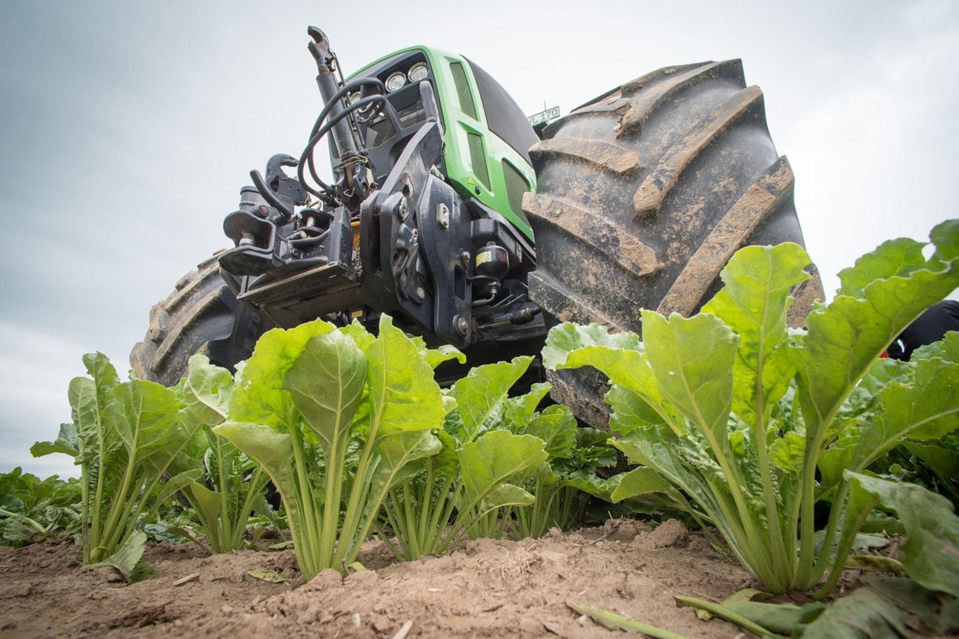 Ritirare-i-seminativi-dalla-produzione-agricola-o-disinquinare-Withdrawing-arable-crops-from-agricultural-production-or-de-.jpg