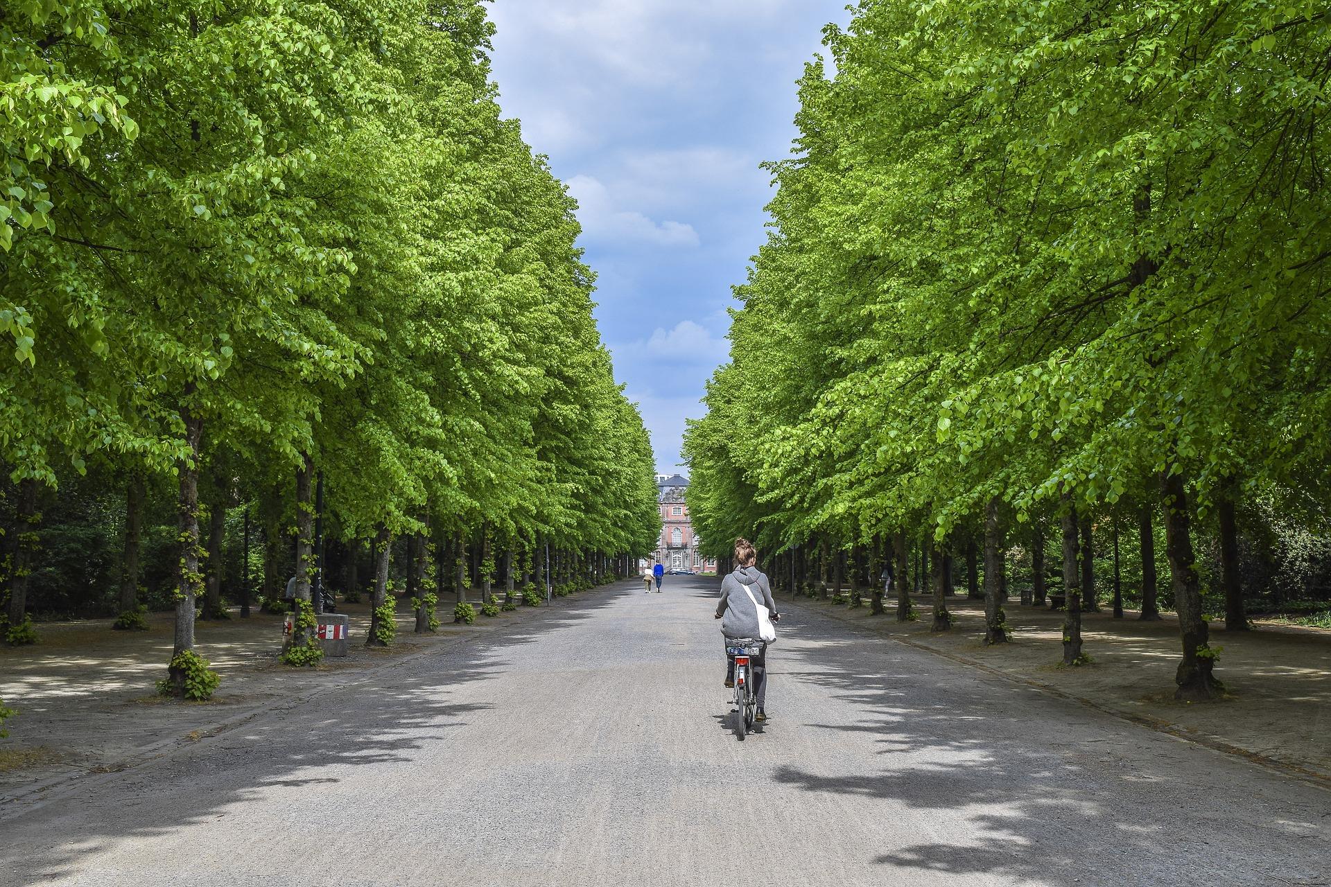 Tree-lined-avenue-Viale-Alberato-Urban-forestry-forestazione-urbana-BioAksxterMagazine.jpg