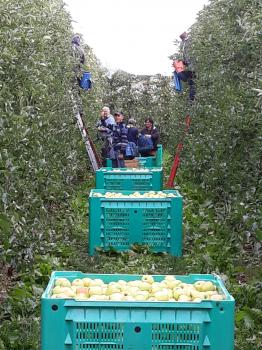 Azienda-Agricola-Corazza-Christian.jpg