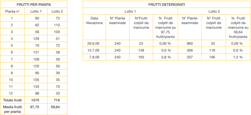 16-tabella-frutti-per-pianta-e-frutti-deteriorati-protocollo-AXS-M31.png 16-tabella-frutti-per-pianta-e-frutti-deteriorati-protocollo-AXS-M31.png