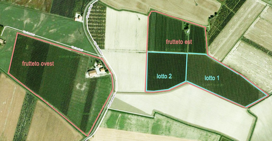 5-mappa-frutteti-corlo-azienda-agricola-martin-siller.jpg 5-mappa-frutteti-corlo-azienda-agricola-martin-siller.jpg