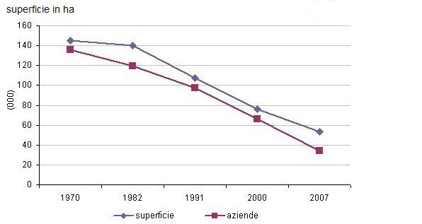 aziende_con_castagneto_da_frutto_e_relativa_superficie_investita-1.jpg