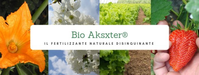 Bio-Aksxter-696x265.jpg