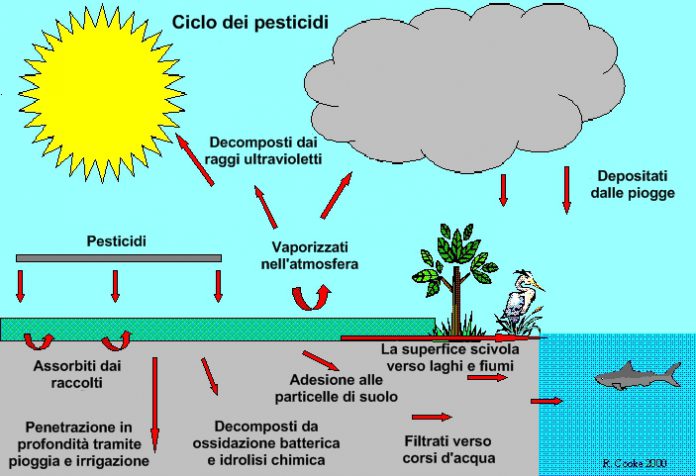 ciclo_pesticidi-696x476.jpeg