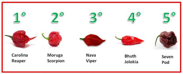 classifica-dei-peperoncini-piccanti-696x283.jpeg