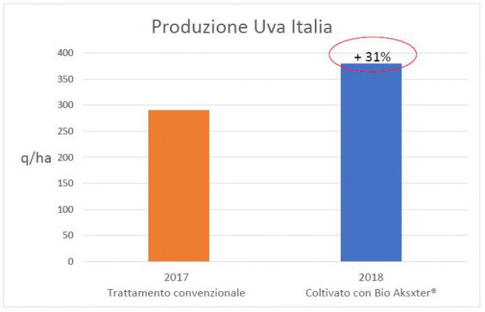 coltivazione-uva-da-tavola-con-Bio-Aksxter-1-696x449.jpg