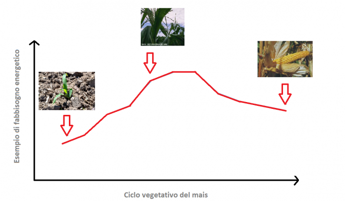 Energia-e-ciclo-colturale-1-696x406.png