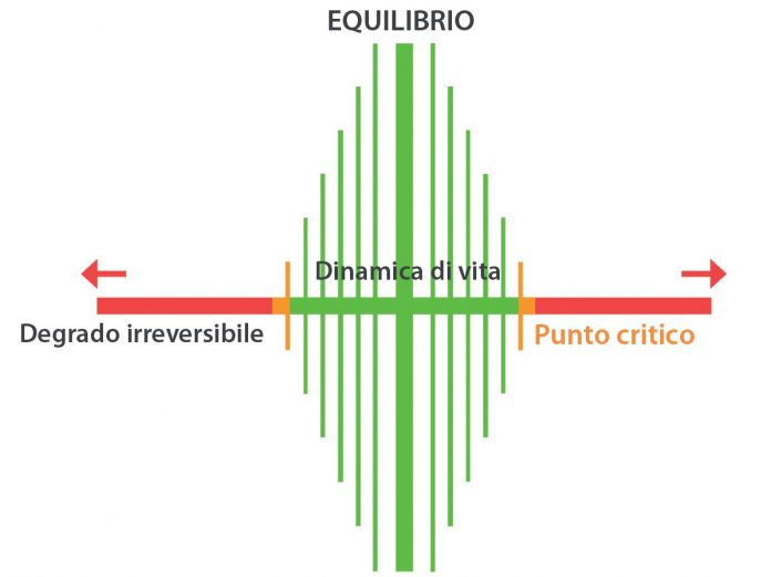 equilibrio-2-696x521.jpg