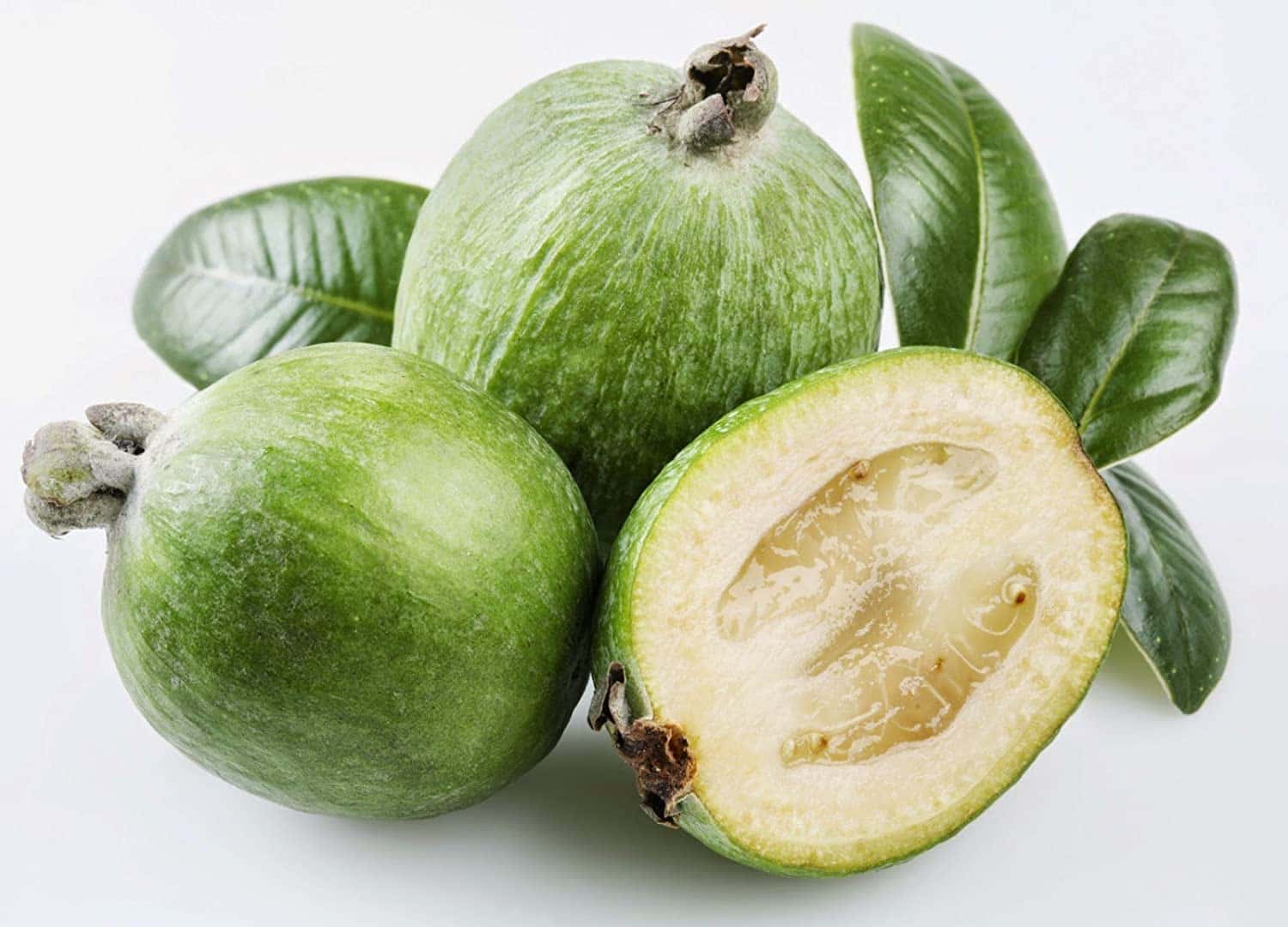 feijoa-frutto-pianta-esotica-Bio-Aksxter.jpeg