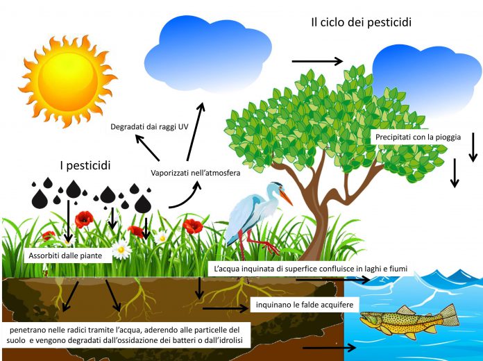 Il-ciclo-inquinante-dei-pesticidi_agricoltura-naturale-696x520.jpg