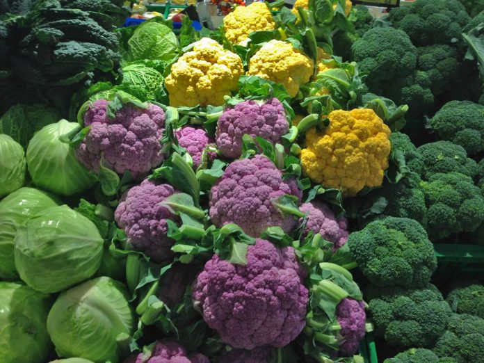 Le-crucifere_coltivare-cavoli-e-broccoli-696x522.jpg