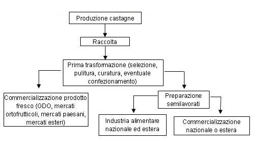 Organizzazione_della_filiera_castanicola.jpg