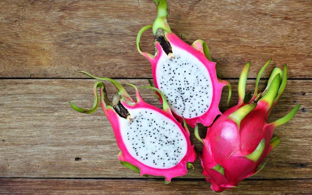 pitaya-pianta-esotica-Bio-Aksxter.jpeg