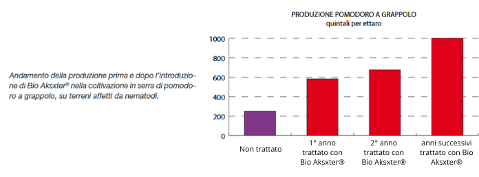 Produzione-pomodoro-a-grappolo-quintali-per-ettaro.png