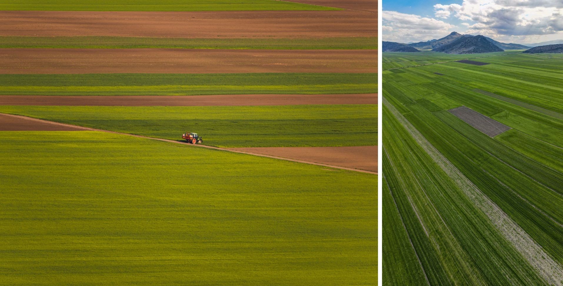 Ripensare-il-modo-in-cui-progettiamo-e-gestiamo-il-paesaggio-rurale-Rethinking-the-way-we-design-and-manage-the-rural-landscape.jpg Ripensare-il-modo-in-cui-progettiamo-e-gestiamo-il-paesaggio-rurale-Rethinking-the-way-we-design-and-manage-the-rural-landscape.jpg