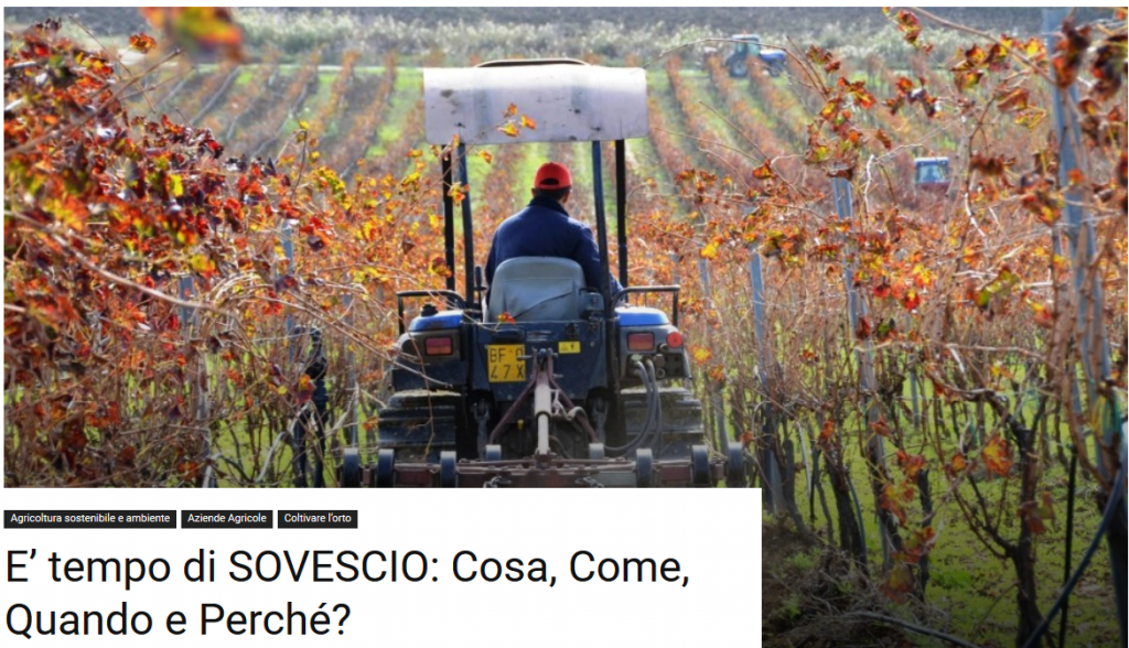 sovescio-nel-vigneto_tecnca-agronomica-1024x588.png