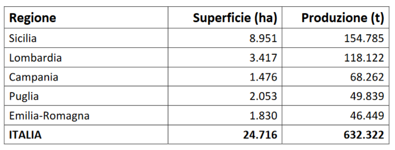 Tabella-regioni-Italia-Coltivazione-del-melone-BioAksxter.png