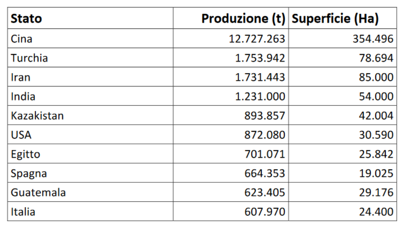 Tabella-Stati-coltivazione-del_melone-BioAksxter.png