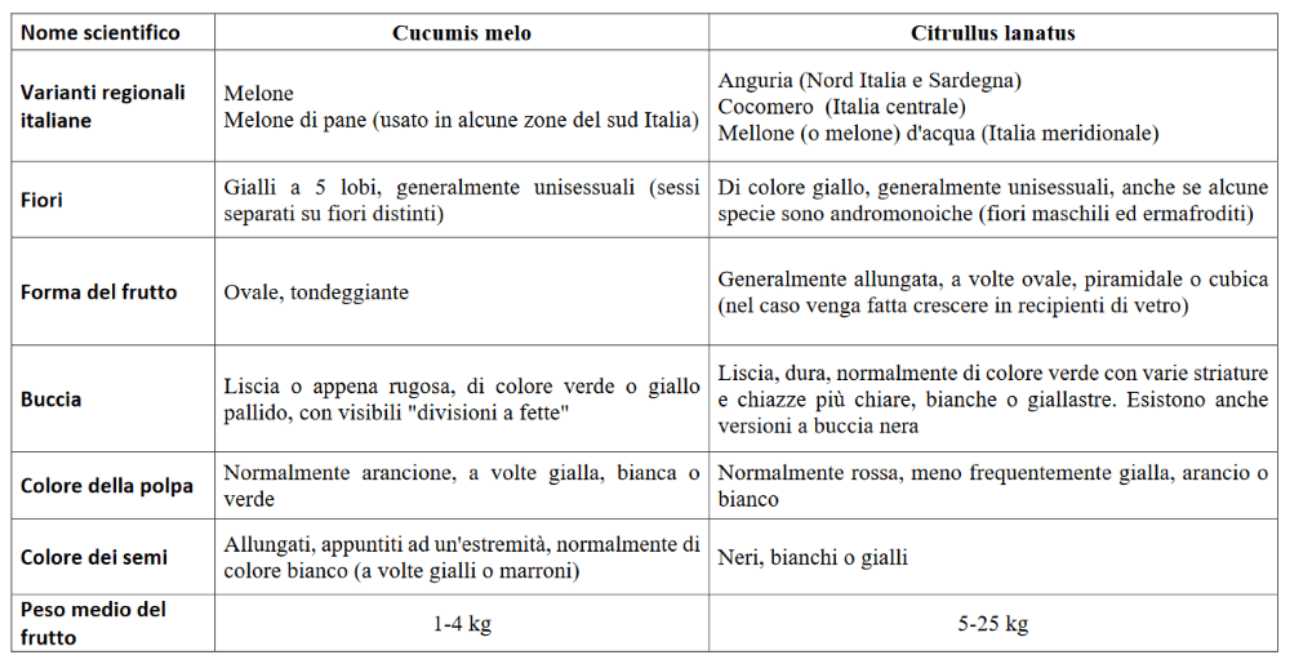 Tabella-variet-coltivazione-del-melone-BioAksxter.png