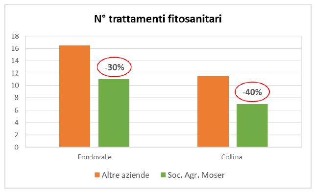 vigneto-biologico-trattamenti.jpg