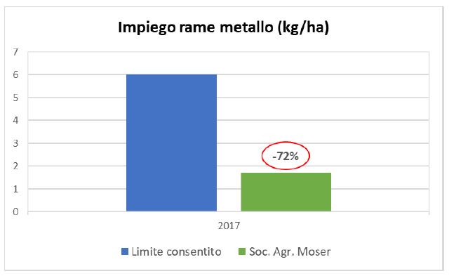 vigneto-biologico-trattamenti-rame-metallo.jpg