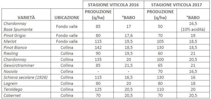 viticoltura-biologica_confronto-annate-viticole-2016-e-2017-696x326.jpg